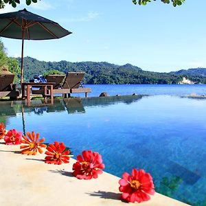 Cocotinos Lembeh A Boutique Dive Lodge
